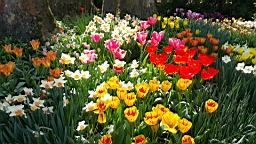 20160506_125304.jpg
