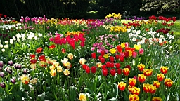 20160506_125322.jpg