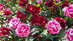 20160506_133153.jpg
