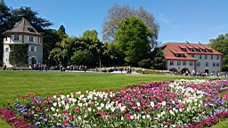 20160506_140356.jpg