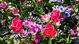 20160506_141725.jpg