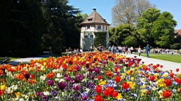 20160506_141849.jpg