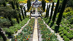 20160506_142952.jpg