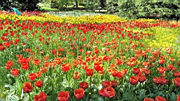 20160506_144558.jpg