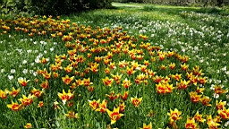 20160506_144826.jpg