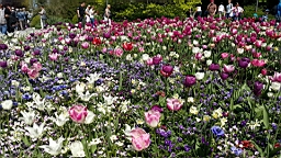 20160506_145812.jpg