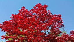 20160506_145921.jpg