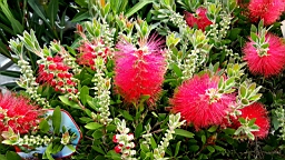20160506_153559.jpg