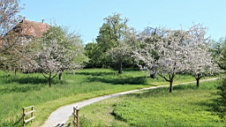2016-05-07--08835.JPG