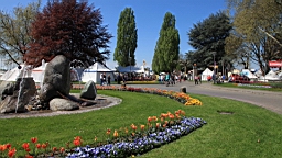 2016-05-07--08842.JPG