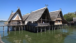 2016-05-07--08855.JPG