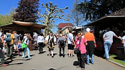 2016-05-07--08886.JPG
