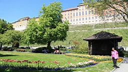 2016-05-07--08890.JPG