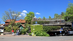 2016-05-07--08918.JPG