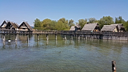 20160507_120537.jpg