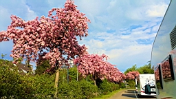 20160507_175637.jpg