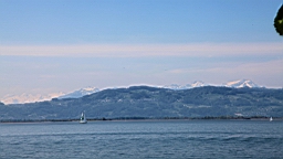 2016-05-08--08959.JPG
