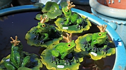 2016-05-08--08973.JPG