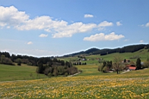 2016-05-08--08990.JPG