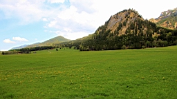 2016-05-08--09005.JPG