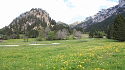 2016-05-08--09011.JPG