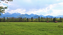 2016-05-08--09016.JPG