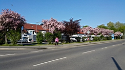 20160508_085404.jpg