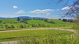 20160508_122910.jpg