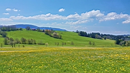 20160508_125952.jpg