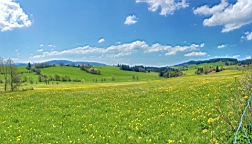 20160508_130047.jpg