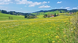 20160508_130113.jpg