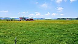 20160508_150906.jpg