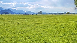 20160508_174607.jpg