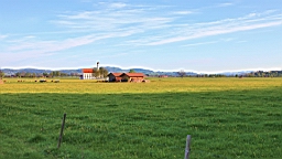 2016-05-09--09096.JPG