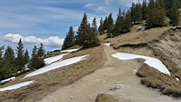 20160509_114630.jpg