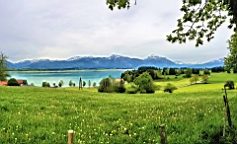 20160510_120508.jpg
