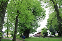 2016-05-13--09348.JPG