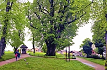 20160513_133627.jpg