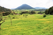 2016-05-15--09420.JPG