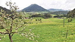2016-05-15--09421.JPG