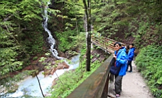 2016-05-15--09423.JPG