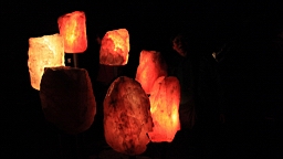 2016-05-17--09545.JPG
