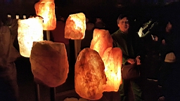 20160517_154934.jpg