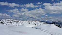 20160518_142455.jpg