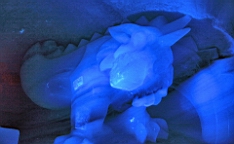 2016-05-19--09684.JPG
