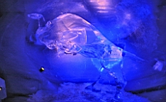 2016-05-19--09687.JPG