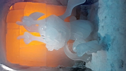 20160519_115423.jpg