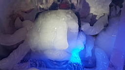 20160519_120141.jpg