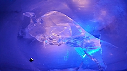 20160519_120325.jpg