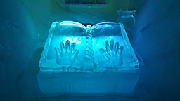 20160519_120431.jpg